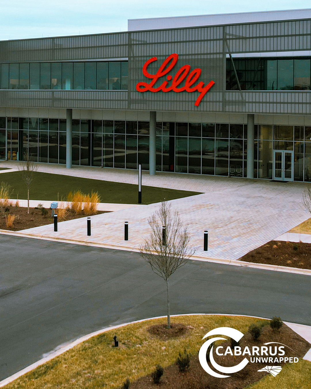 Lilly